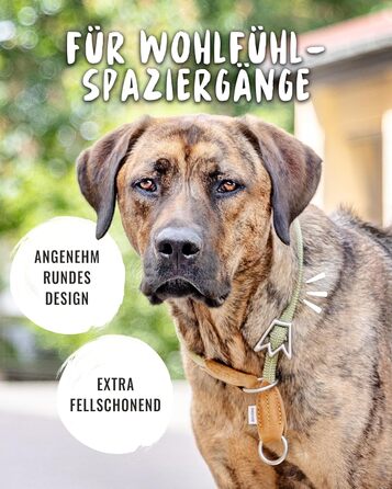 Нашийник для собак Rudelkönig Emma - Елегантний нашийник-стоп для собак з шкіри та нейлону, діаметр 12 мм, для великих собак, колір хакі