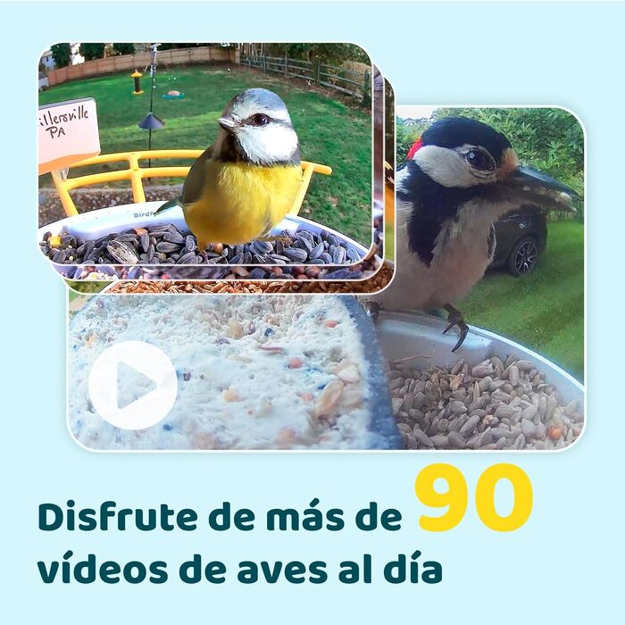 Розумна годівниця для птахів NETVUE Birdfy з камерою для спостереження, сонячною панеллю, кольровим нічним баченням та автоматичним записом відео, синя