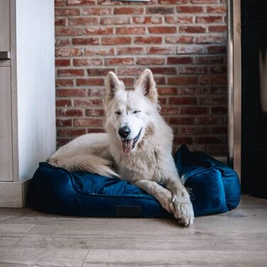 Ліжко District 70 VELURO Box - сірий колір, розмір S - ліжко з ящиком, сіре, S