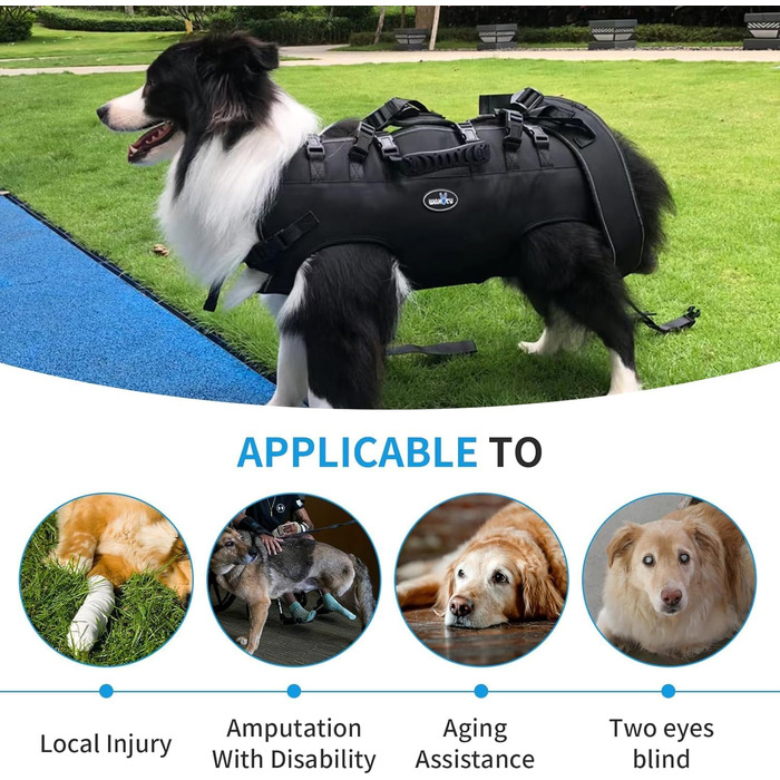 Сумка-переноска та повідок для собак, Wakytu, для маленьких собак (4-8 кг), чорний, регульовані ремені