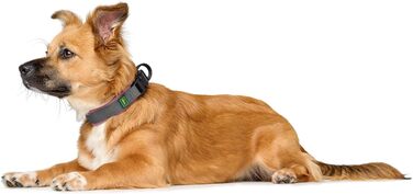 Шолом Hunter Hasband Madon рожевий, сітка, міцний нейлон, гіпоалергенний, регулювання, адресна панель, розмір M