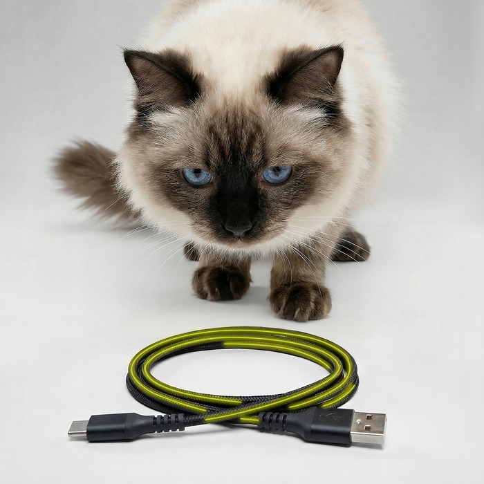 Автоматичний годувальник-дозатор корму для котів та собак Peluvio Crispy, 4,5 л