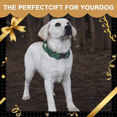 Тактичне обплетене нашийник для собак Vivi Bear, нейлон, контрольний захват, великі породи, зелений (L)