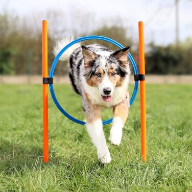 Набір для дресирування собак Vabiono Agility: тунель, обруч, бар'єри, слалом, стійки