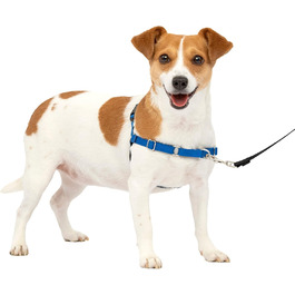 Шлея для собак PetSafe Easy Walk, анатомічна