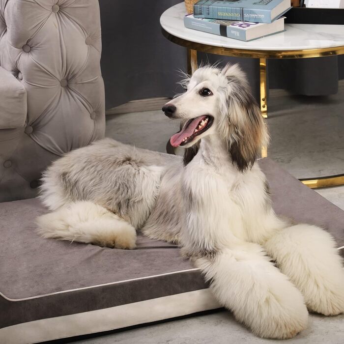 Ортопедичне ліжко для собак Laifug з ефектом пам'яті, велике, водонепроникне, сіре (116 x 69 x 19 см)