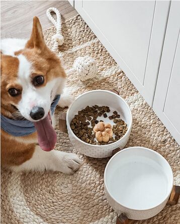 Набори мисок для собак LE TAUCI для маленьких порід, миски для корму та води з підставкою з акації, 1,5 чашки, для собак та котів, важкі миски для тварин S-1.5 Cups