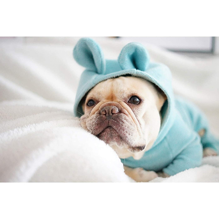 Піжама для собак з м'якої бавовни, комбінезон, худі з вушками кролика для Французького бульдога/Англійського бульдога/Американського пітбультер'єра XL, блакитний