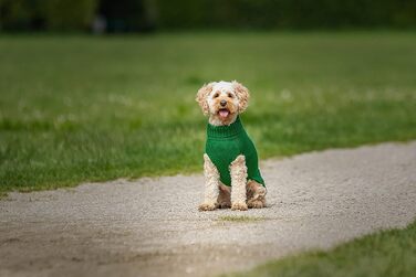 Пуловер CHIARA Ellie CHP-403GN-L, світшот, толстовка, зелений, розмір L, 100% поліестер