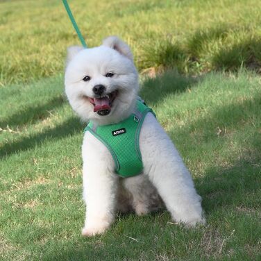 Нашийник та поводок для цуценят, комплект для прогулянок, нашийник-трансформер, м'який, дихаючий, аксесуари для домашніх тварин, світловідбиваючі смуги, для дуже маленьких собак та котів, XXXS (Обхват грудей: 8.5 - 10 см), Зелений, XXXS