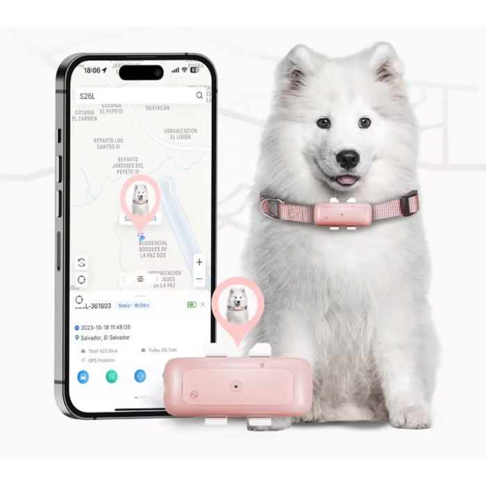 GPS-трекер 4G для тварин: локалізатор для собак та котів без абонплати