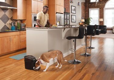 Автоматична годівниця PetSafe Healthy Pet Simply Feed, програмована, 5,6 л, цифровий дисплей, на 4 батарейках D, чорна