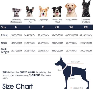 Зимові куртки та зимові пальта для собак IECOii, тепла зимова куртка для собак, пальта для собак, зимові пальта для собак, куртка-жилет для собак, теплий зимовий одяг для собак, водонепроникні куртки для собак, зелений колір, розмір M (обхват грудей: 53 с