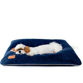 колір: морський