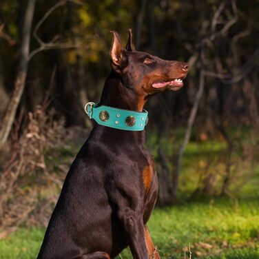Нашийник для собак середніх порід Comfluxe з екошкіри, 5.1 см, міцний, з металевою застібкою, блакитно-зелений, з дизайном 