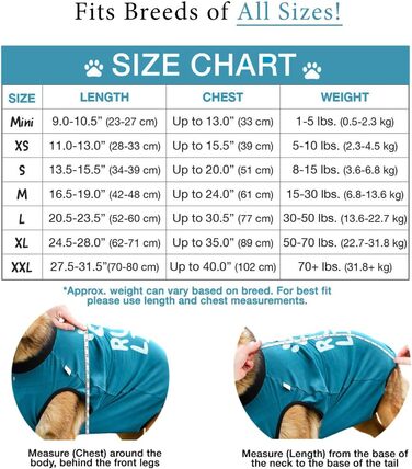 Захисний боді для собак після операції (кастрація/стерилізація), альтернатива комірцю, блакитний, 2XL