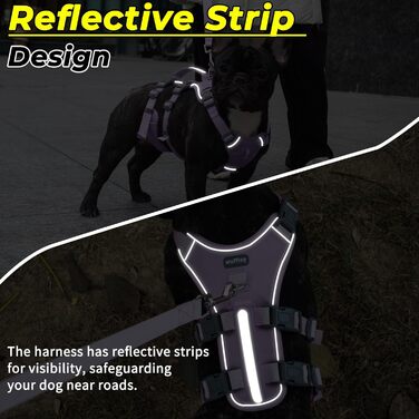 Нашийник для собак Wuffley з повідком, безпечний, анти-тяга, з ручкою, світловідбиваючий, регульований, для середніх собак (Lila, M)
