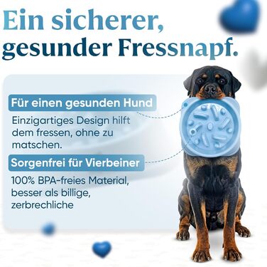 Миска для собак великих порід, Slow Feeder, антишвидке поглинання, для здорового харчування, проти блювоти, нековзна, блакитна
