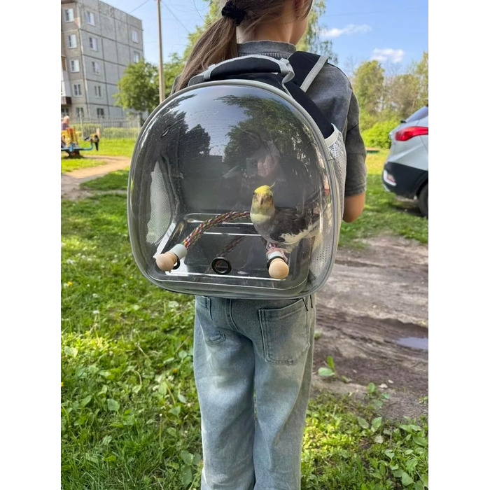 Побутова переноска для птахів, рюкзак-переноска для папуг, канарів, хвилястих папужок, до ветеринара, прозора капсула, від авіакомпанії Pink