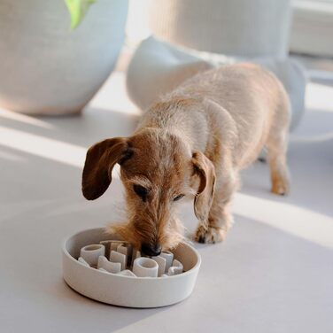 Місцевий повільний годівник для собак з бамбука District 70 - діаметр 28 см