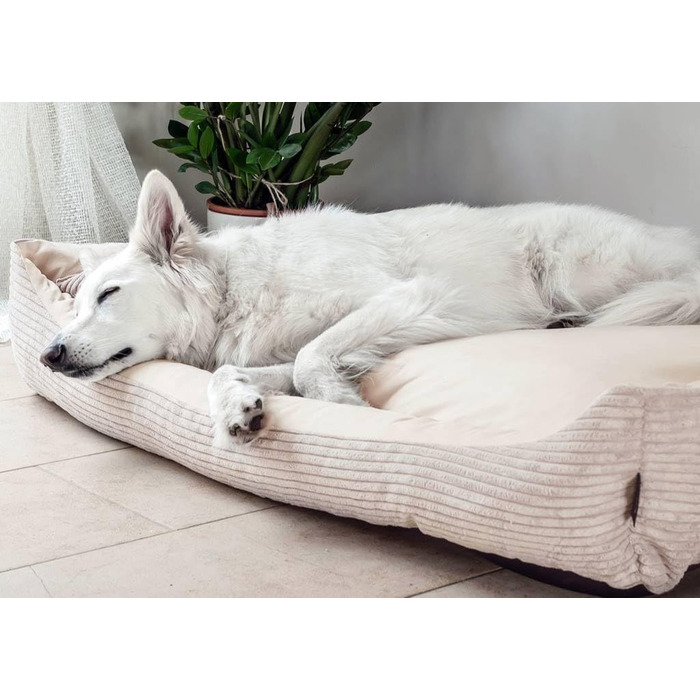 М'яке ліжко для собак 4L Textil Molly - зручне собаче ліжко-корзинка, 60x40 см, бежеве. Знімна та пральна наволочка, підходить для середніх собак.