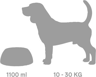 Миска для собак UNITED PETS Pappy, екологічна, виготовлена в Італії, 1.1 л, зелена, для середніх собак