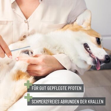 Ножиці ReaVET для обрізання кігтів собак та котів - з пилочкою та обмежувачем | Нержавіюча сталь | Інструмент для догляду за кігтями