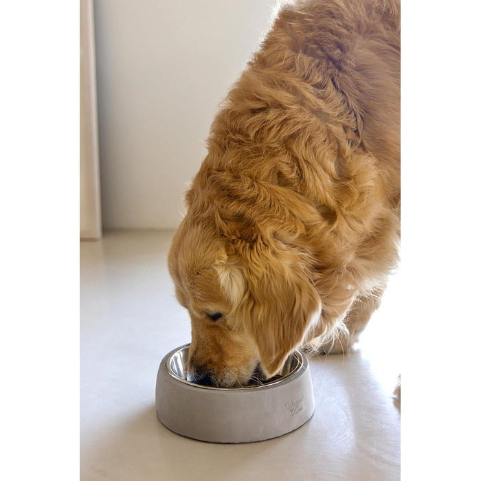 Миска для собак Lotte Riboco, кераміка, 16x16x5 см