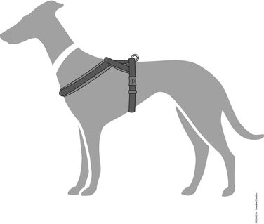 Шлейка для собак HUNTER LONDON COMFORT, дихаюча сітка 3D, 2-ступеневе регулювання, надійна застібка, міцна, легка та зручна в догляді, колір: антрацит, розмір: L/1