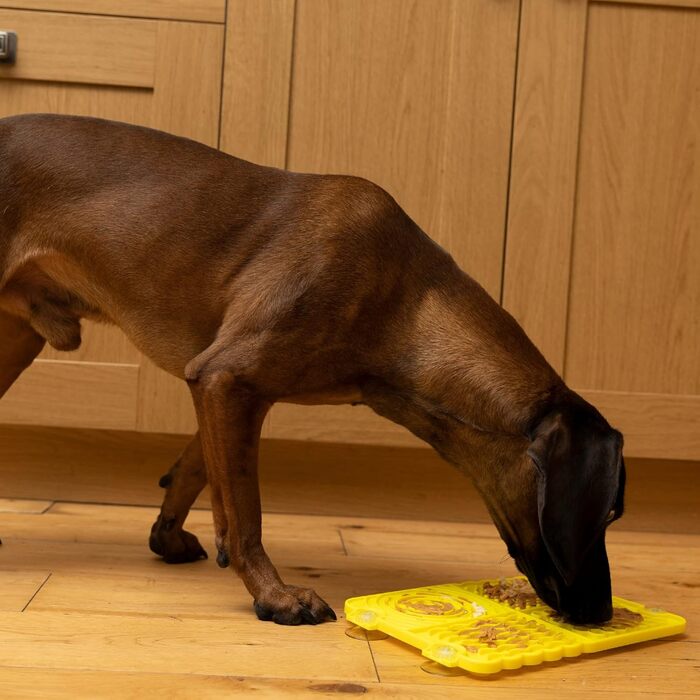 Mat для собак та цуценят Licky Leckmatten - повільне годування, міцний пластик, з присоскою