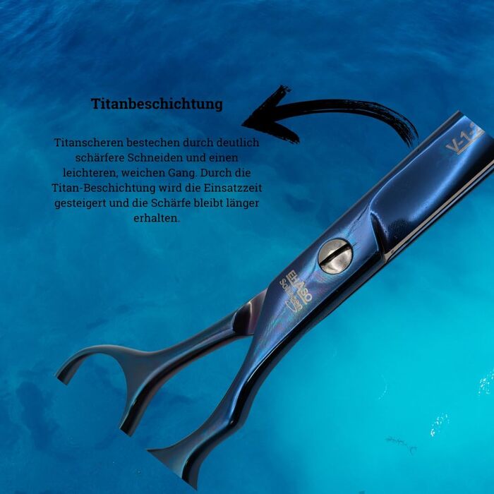 Ножиці EHASO V-1-2000 Titan, титанові, нержавіючі, 22 см