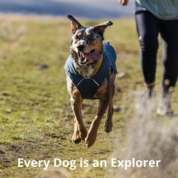 Куртка для собак RUFFWEAR Stumptown, зелена, S – утеплена, стильна, з отвором для шлейки, зносостійка, преміум-якість