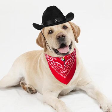 Ковбойський костюм для тварин: капелюх та бандана. Вечірковий аксесуар для собак та котів. Чорний комплект для святкування дня народження в мексиканському стилі.