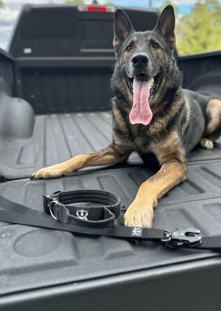 Тактичний повідець Operation Good Boy чорний – міцний та зручний, алюмінієвий карабін 360°, для собак, військова якість