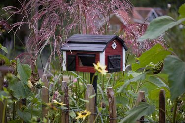 Дерев'яна годівниця для птахів Wildlife Garden WG221, червона