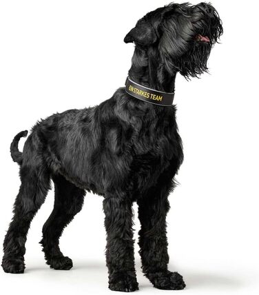 Нашийник для собак HUNTER Neopren Reflect BVB, світловідбиваючий, з підкладкою, чорний/жовтий, 45 см