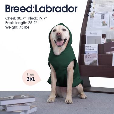 Світшот для собак IECOii з капюшоном, теплий пуловер для собак середнього розміру, зелений