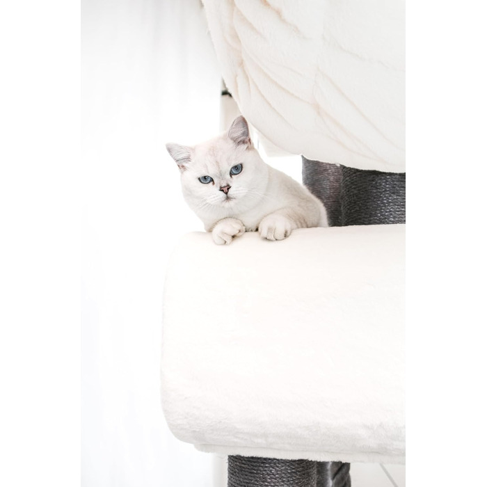 Драбина для котів Petrebels Maine Coon XXL, 210 см, з сизалю, бежева