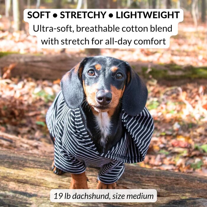 Світшот для собак DJANGO, теплий, м'який, з капюшоном, для маленьких собак до 11,3 кг (Даксель, цуценята), чорний, розмір S