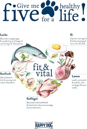 Корм для собак Happy Dog fit & vital Light, низькокалорійний сухий корм для дорослих собак, 4 кг