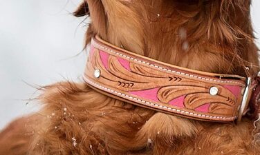 Нашийник для собак Pinklady Leder: шкіряний нашийник для собак, бежевий, карамельний, коричневий, рожевий, з декоративними елементами та стразами, обхват 35-43 см