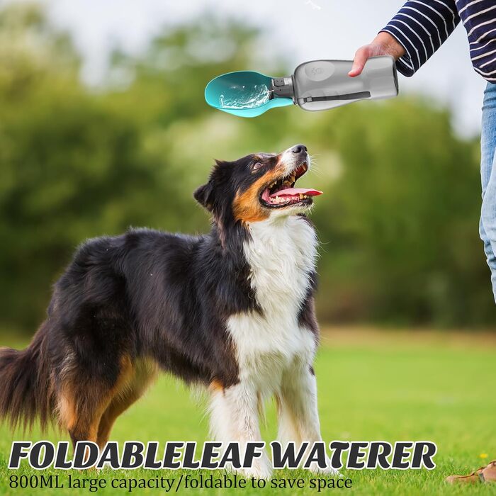 Фляга для собак PIWOSGOL 800 мл: для прогулянок, подорожей, кемпінгу та альпінізму