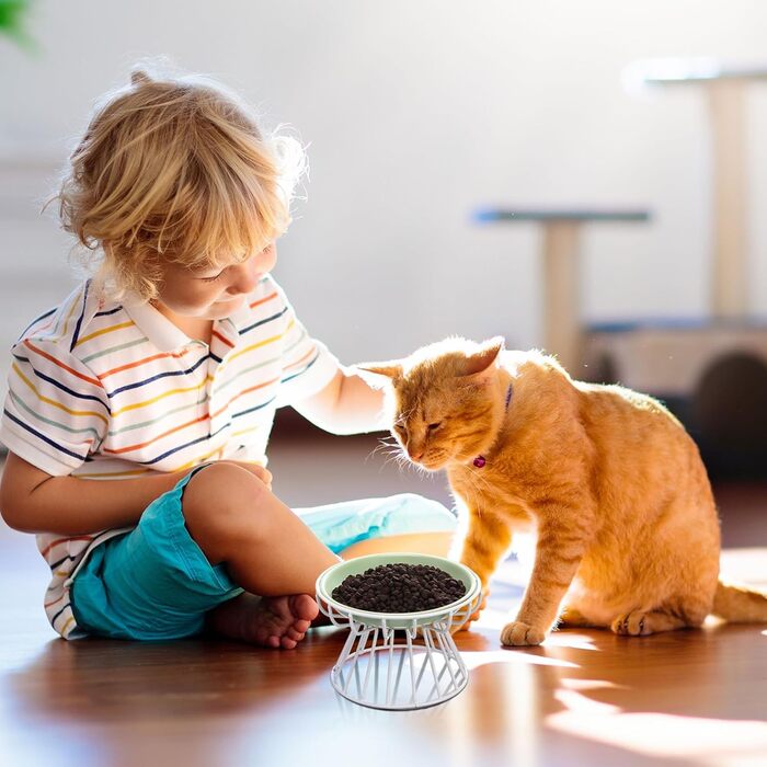 Набори мисок для котів Hushee з кераміки з металевим підставкою, анти-блювотні, придатні для миття в посудомийній машині, плоскі миски для води та корму для кошенят та маленьких собак, 6 шт.