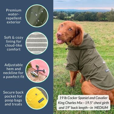 Водонепроникний дощовик для собак DJANGO Highland, оливковий, M (Medium), з капюшоном та отвором для шлейки