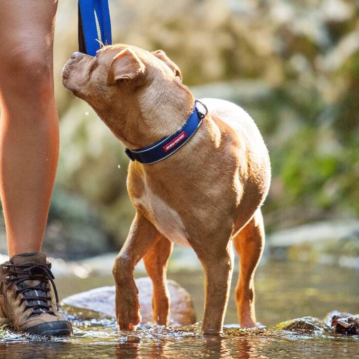 Нашийник для собак EzyDog, великий, середній, малий, середній, неопрен, водонепроникний, світловідбиваючий, рожевий (M, L 45-51 см)