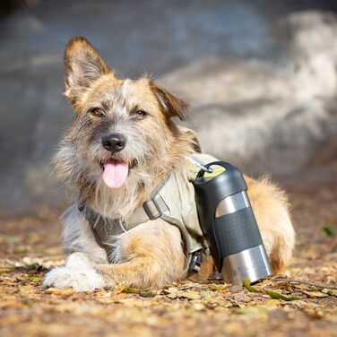 Портативна пляшка для води з нержавіючої сталі для собак PetFusion, дорожня миска, срібляста, для годування та напування собак і домашніх тварин