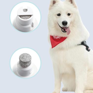 Шліфувальник для собачих кігтів | 3-ступеневий акумуляторний портативний шліфувальник кігтів з LED | Компактний інструмент для догляду за кігтями - для дорослих, сім'ї, друзів, жінок та чоловіків (білий)