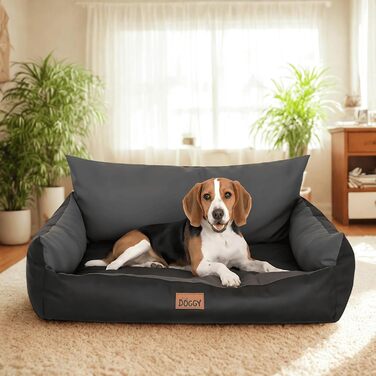 Ліжко для собак - лежанка для тварин, кошик для котів та собак великих, середніх та маленьких порід - м'яке ліжко для собак - лежанка-софа для собак - 63x48 см (XL - 80x61 см, Графіт)