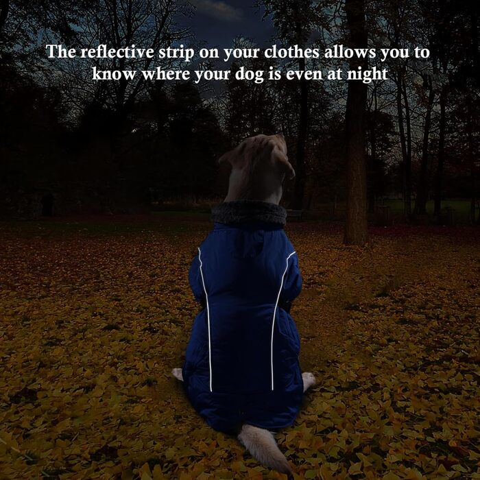 Водонепроникний теплий зимовий одяг для собак DENTRUN, флісова підкладка, куртка для собак середнього розміру (Синій, M)