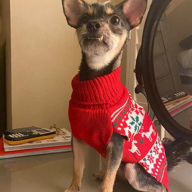 Стильний новорічний светр для собак Kyeese, теплий вовняний ромбік для маленьких цуценят, хлопчиків та дівчаток з малюнком сніжинок та оленів, зручний зимовий светр з отвором для повідка